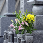 粉骨の東京･I.L.Y.Sの評判